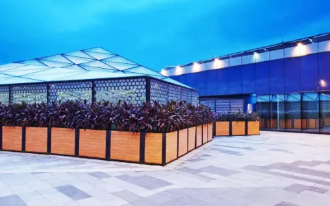Zona de cultivo