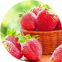 Fresas