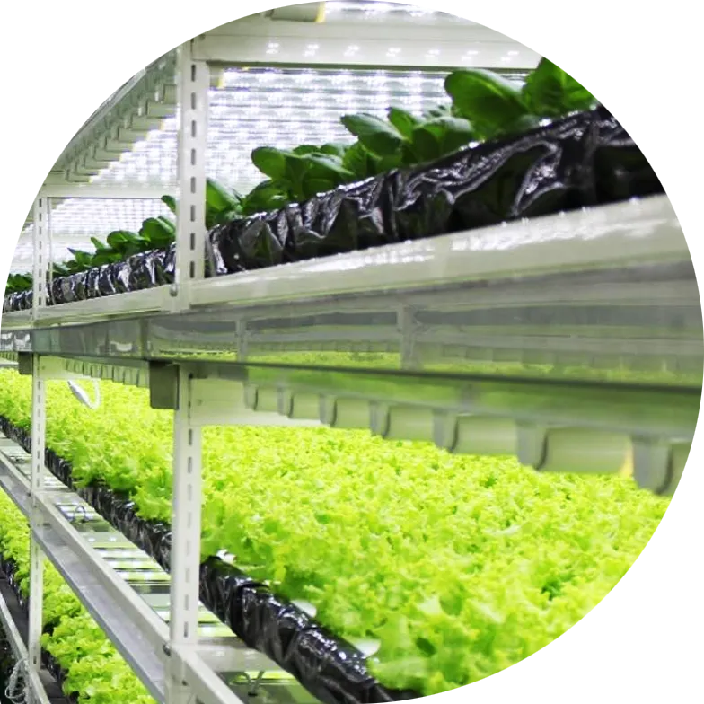 Sistema de agricultura vertical